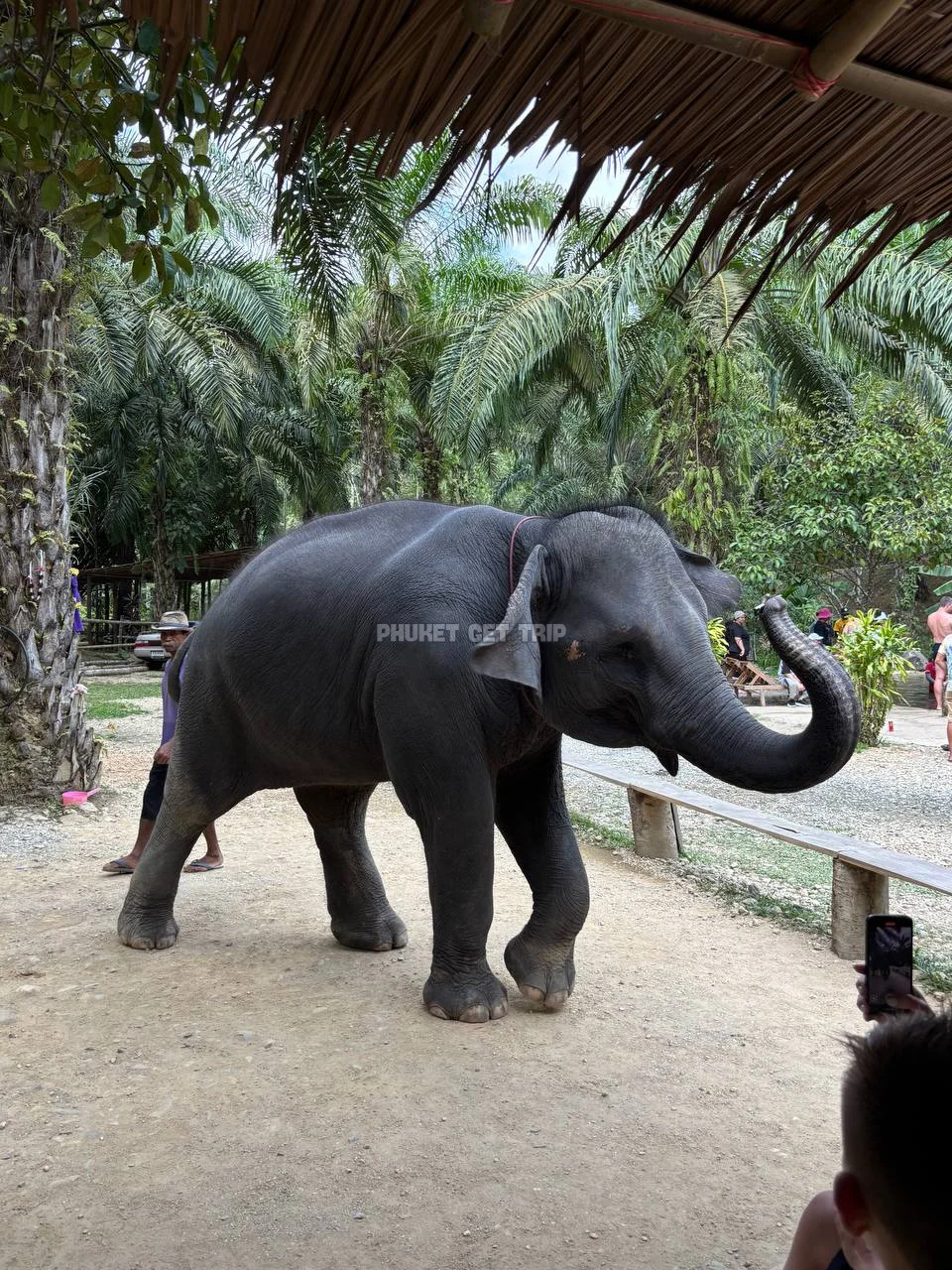Као Лак + купание со слонов с Пхукета